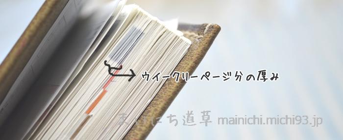 使わなかったウイークリー部分