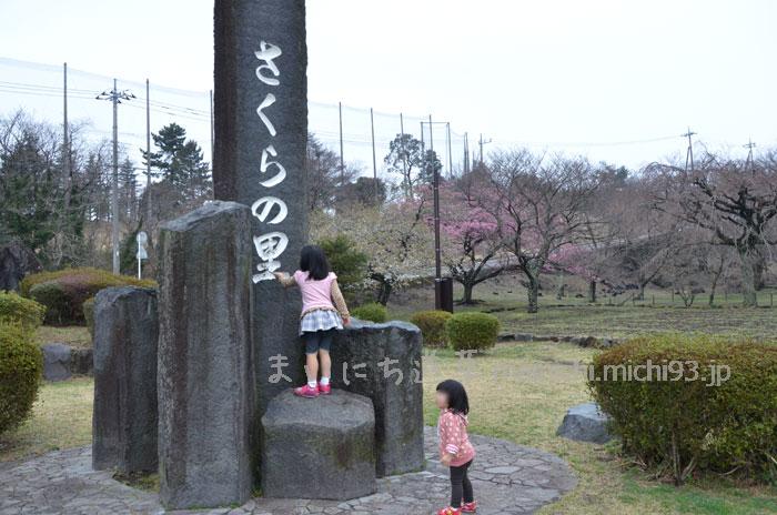 さくらの里