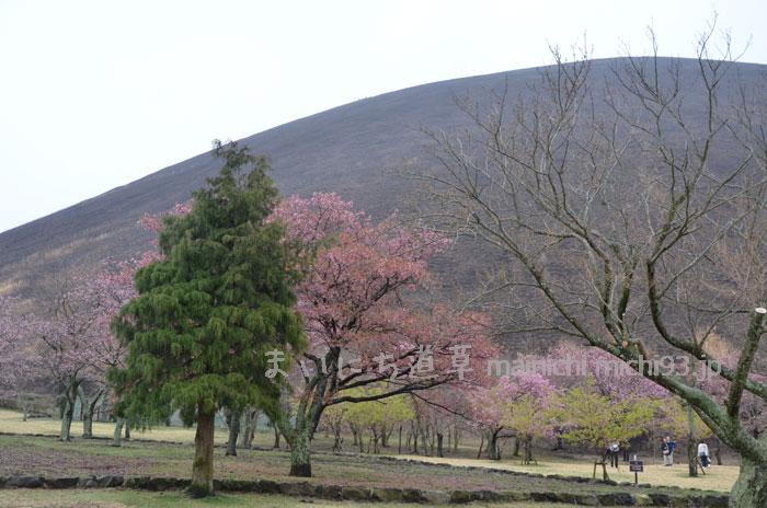 大室山