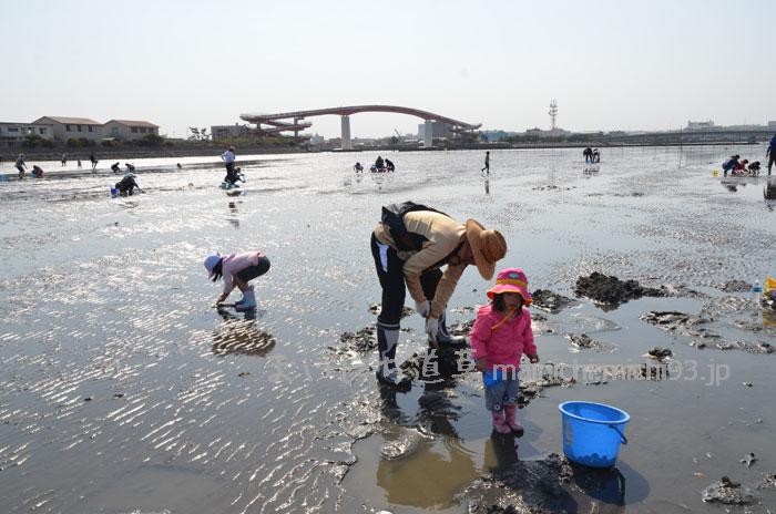 木更津海岸で潮干狩り