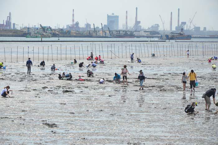 潮干狩りで賑わう、千葉の木更津海岸