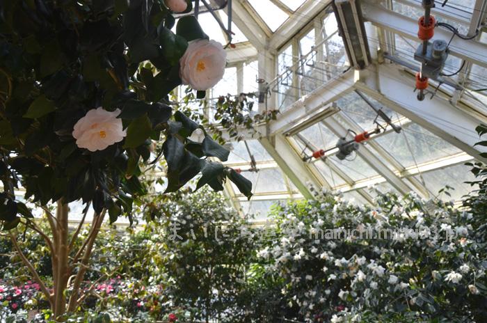 植物園・温室