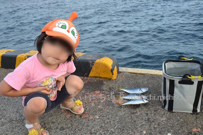 式根島港で釣り