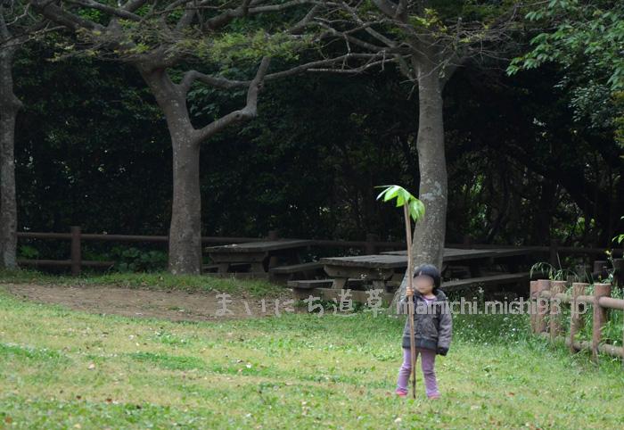 撤収のあいだ、自然と遊んでます