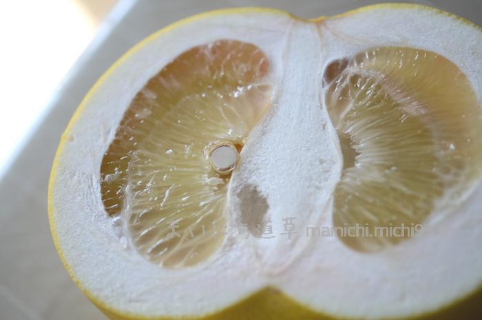 皮はけっこう分厚い