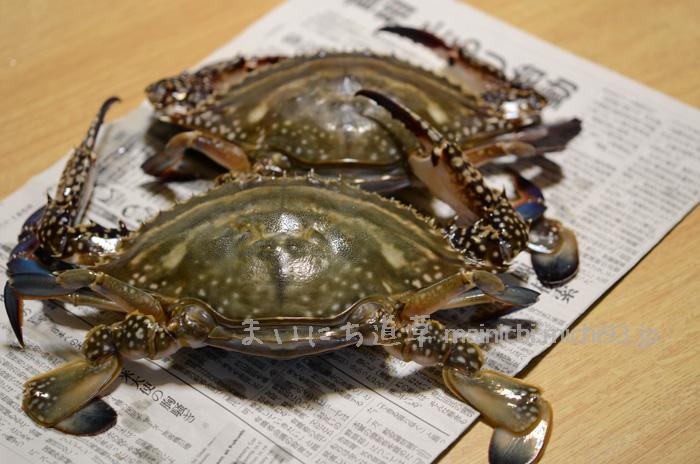 連れ帰ったワタリガニ