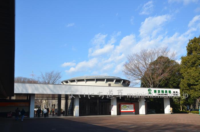 東京競馬場
