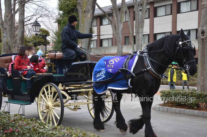 馬車に乗る