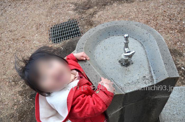 水飲み場もホースシュー