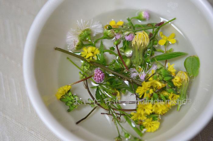 春の花