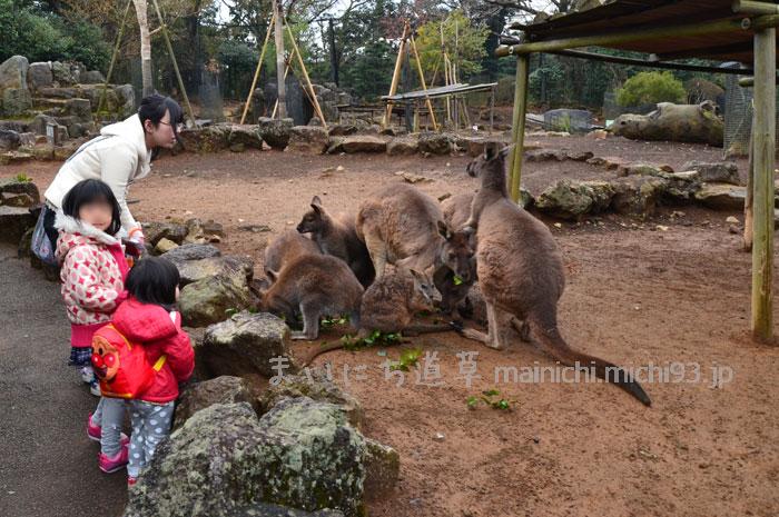 檻のない動物園