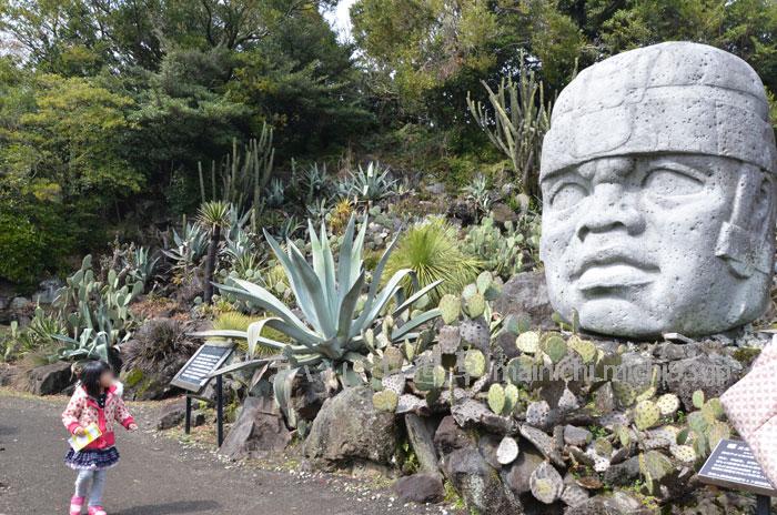 メキシコ遺跡エリア
