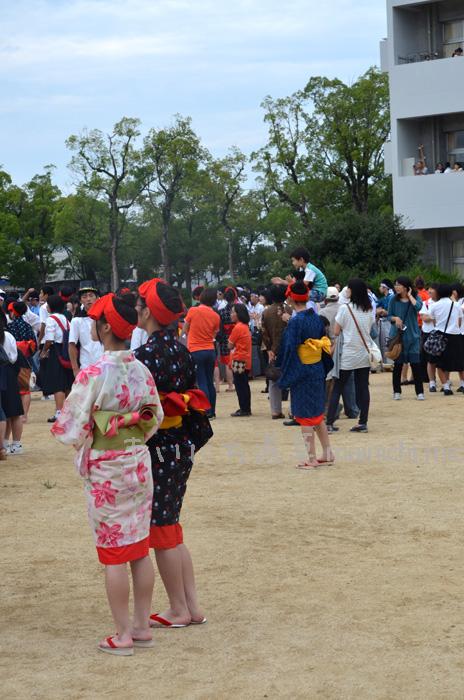 蛇踊りで絣の着物を着た女子