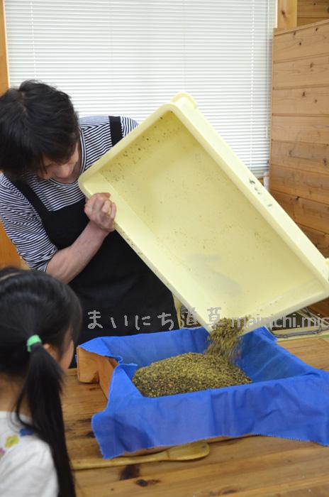 砕いた椿の実を、蒸し器にかける