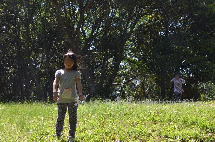 大房岬(たいぶさみさき)キャンプ場