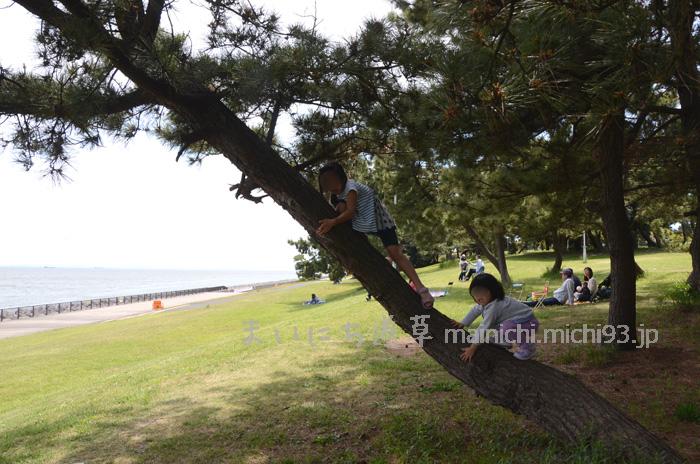 木登り遊び