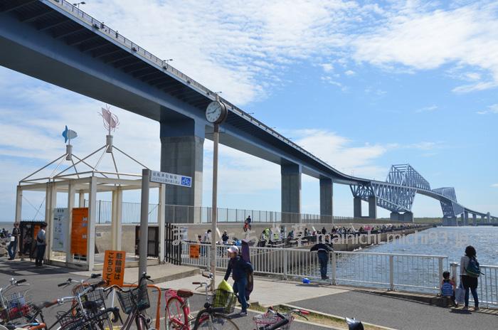 若洲公園 海釣り施設